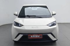 2024 BYD Seagull 2025 305km freeEdition #3