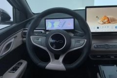 2025 BYD Seagull 2025 Smart Drive 305km freeEdition #15
