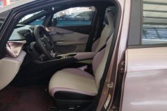 2022 BYD Dolphin 2021 405km Fashion #9