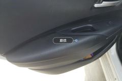 Left Rear Door Trim