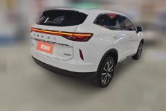2023 Haval H6 2022 No.3generation 1.5T AT 2WDMax #3