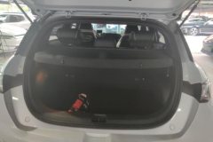 2022 BYD Dolphin 2021 405km Fashion #4