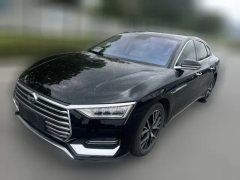 2021 BYD E9 2022 Business #1