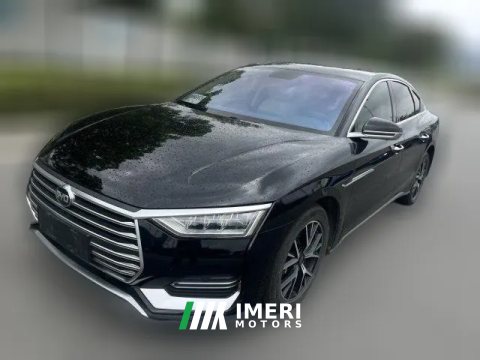 2021 BYD E9 2022 Business