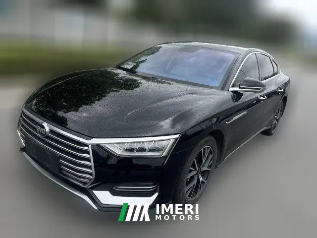 2021 BYD E9 2022 Business