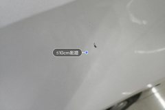 Left Rear Fender