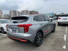 2021 Haval Chulian 2021 1.5T AT Large4Edition #6