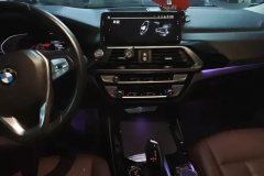 2019 BMW X3 2020 2.0T AT 25iLuxury Pkg4WD #13