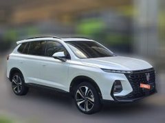 2023 Roewe RX5 MAX 2022 1.5T AT promisingLuxury #3