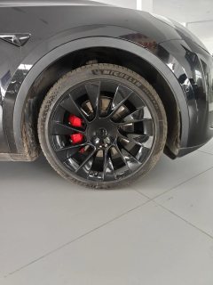 2021 Tesla Model Y 2021StandardBattery lifeRWDEdition #6