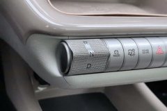 2024 BYD Dolphin 2025 520km knightEdition #17