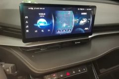 2024 Haval H6 2022 No.3generation 1.5T AT 2WDMax #13