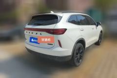 2021 Haval H6 2021 1.5T AT No.3generation2WDSupreme #3