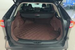 2023 Toyota Wildlander 2023 2.0L AT CVT4WDLuxuryPLUSEdition #4