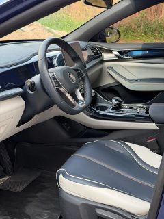 2022 BYD Qin Plus 2021 1.5 AT DM-i 120KM Premium #7