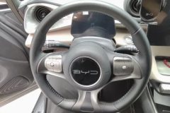 2023 BYD Dolphin 2023 420km Fashion #15