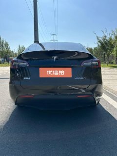 2021 Tesla Model Y 2021StandardBattery lifeRWDEdition #8