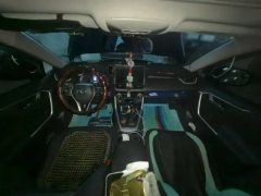2022 Toyota Wildlander 2021 Hybrid 2.5L AT E-CVT2WDLuxury #4