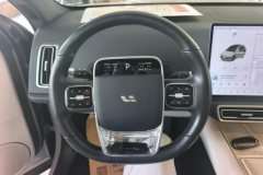 2024 Li Auto Li Auto L6 2024 pro #14