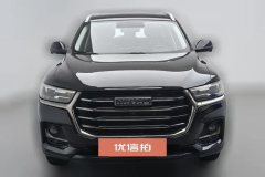2021 Haval H6 2021 1.5T AT China tideChampion #3