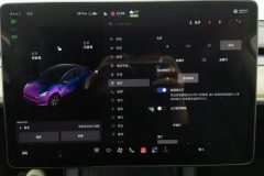 2021 Tesla Model Y 2021Long Rangeall wheel driveEdition 3D7 #24