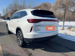2021 Haval H6 2021 1.5T AT No.3generation2WDPro #9