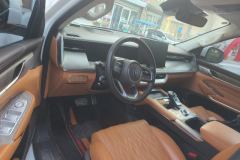 2022 Tank 500 2022 3.0T AT Sport Create environment 5Seat #12