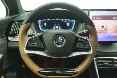 2022 BYD Tang New Energy 2021 1.5T AT DM-i 112KM Honor #15