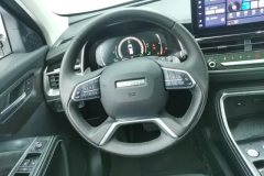 2023 Haval H6 2023 China tideEdition 1.5T AT Champion #15