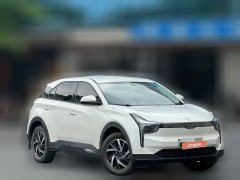 2021 Neta U 2021 Pro 400 cruiseEdition #3