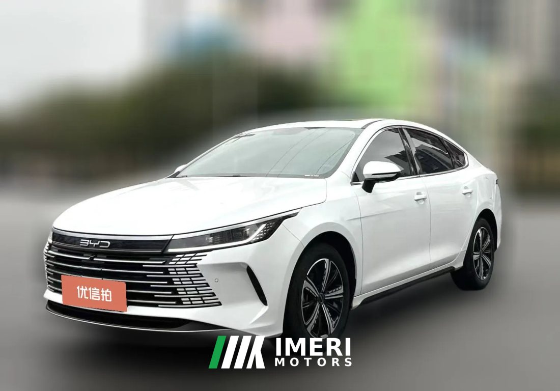 2023 BYD Destroyer 05 2023 Champion 1.5L AT DM-i 120KM Flagship