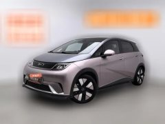 2024 BYD Dolphin 2025 520km knightEdition #1