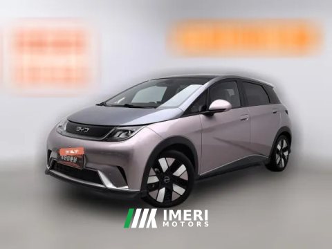 2024 BYD Dolphin 2025 520km knightEdition