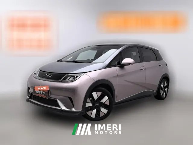 2024 BYD Dolphin 2025 520km knightEdition