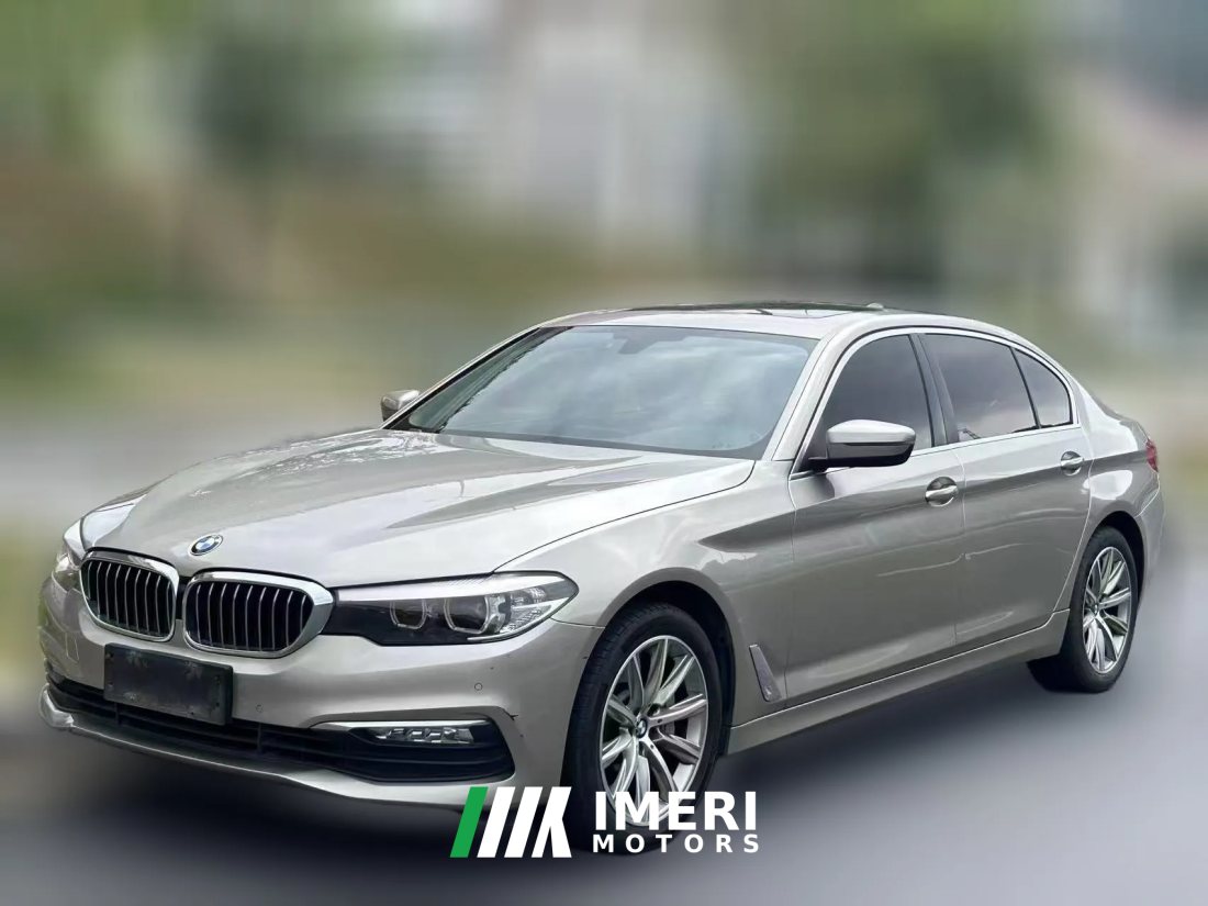 2017 BMW 5 Series 2018 2.0T AT 528LiLaunch Special