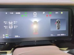 2025 BYD Xia 2025 DM-i 1.5T AT 100km Surpass #8