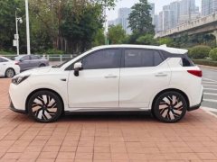 2017 Aion GE3 2017 Smart EV #9