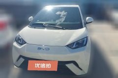 2024 BYD Seagull 2024 Glory 305km vitalityEdition #2