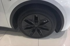 2021 Tesla Model Y 2021StandardBattery lifeRWDEdition #6