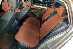2020 Volkswagen Golf 2020 1.4T AT BelovedEdition280TSIComfort #11