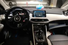 2021 MG Pilot New Energy 2021 TrophySeries 1.5T AT HEVTrophyExclusive #12