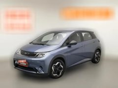 2024 BYD Dolphin 2025 420km vitalityEdition #1