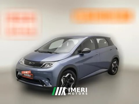 2024 BYD Dolphin 2025 420km vitalityEdition
