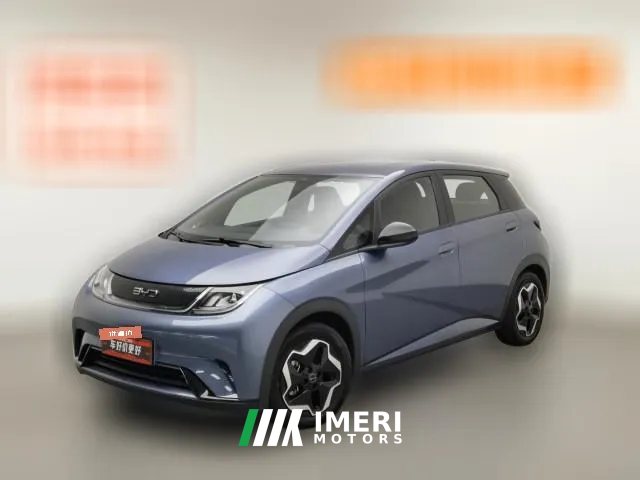 2024 BYD Dolphin 2025 420km vitalityEdition