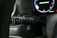 2021 Tank 300 2021 Off-road 2.0T AT challenger #24