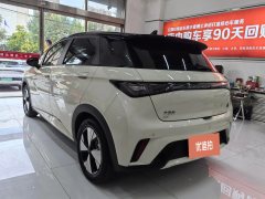2024 BYD Dolphin 2024 Glory 420km Fashion #15