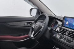 2022 Chang'an CS75 2022 1.5T AT Blue WhaleEdition DCTPremium #23