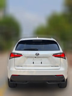 2015 Lexus NX 2015 2.5 AT 300hFeng ShangEditionFWD HEV (Imported) #4