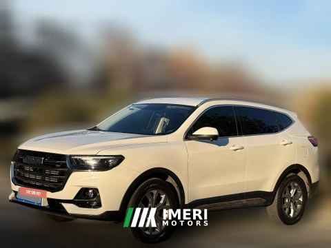 2021 Haval H6 2021 1.5T AT China tideChampion