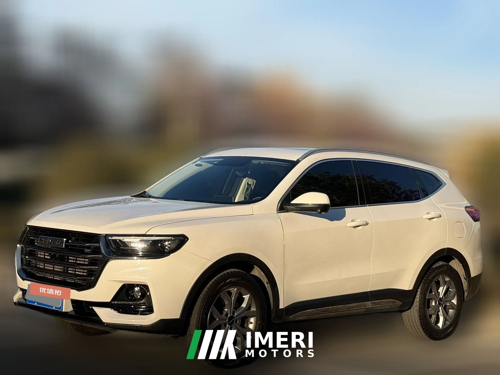 2021 Haval H6 2021 1.5T AT China tideChampion